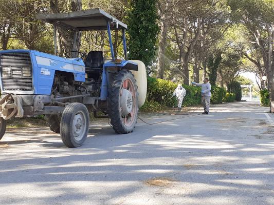 Trattamento antiparassitario del Campeggio "Cà Savio"