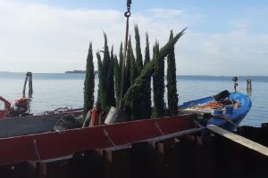 Giardino privato di una fondazione svizzera, Giudecca