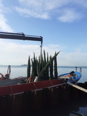 Giardino privato di una fondazione svizzera, Giudecca