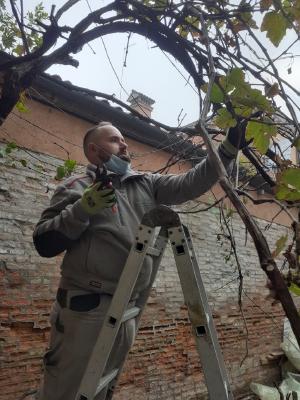 Giardino privato del Sig. Arisirotta